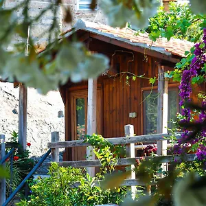 https://agora-pansiyon.aegeanhotels.net